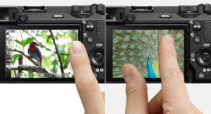 Sony A6600 vs A6700 Comparison